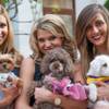 Photo: Next Top Dog at The District at Green Valley Ranch Photo: Next Top Dog at The District at Green Valley Ranch